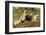 Prairie Dog Family in Theodore Roosevelt National Park, North Dakota, Usa-Chuck Haney-Framed Premium Photographic Print