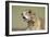 Prairie Dog in Theodore Roosevelt National Park-Paul Souders-Framed Photographic Print