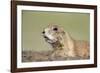 Prairie Dog-Paul Souders-Framed Photographic Print