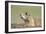 Prairie Dog-Paul Souders-Framed Photographic Print