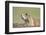 Prairie Dog-Paul Souders-Framed Photographic Print