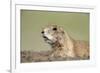 Prairie Dog-Paul Souders-Framed Photographic Print