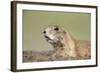 Prairie Dog-Paul Souders-Framed Photographic Print