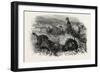 Prairie Dogs and Owls, Buenos Ayres, Trinidad and Tobago-null-Framed Giclee Print