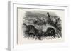 Prairie Dogs and Owls, Buenos Ayres, Trinidad and Tobago-null-Framed Giclee Print