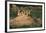 Prairie Dogs at their Burrow-W. Perry Conway-Framed Photographic Print