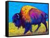 Prairie Dusk-Marion Rose-Framed Stretched Canvas