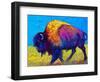 Prairie Dusk-Marion Rose-Framed Giclee Print