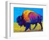 Prairie Dusk-Marion Rose-Framed Giclee Print