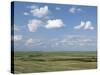 Prairie Farmland, North Dakota, USA-Tony Waltham-Stretched Canvas