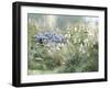 Prairie Field - Grow-Mark Chandon-Framed Giclee Print