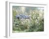 Prairie Field - Grow-Mark Chandon-Framed Giclee Print