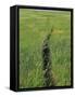 Prairie Footpath on Lewis and Clark's Route Near Mandan, North Dakota-null-Framed Stretched Canvas