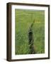 Prairie Footpath on Lewis and Clark's Route Near Mandan, North Dakota-null-Framed Photographic Print