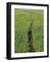 Prairie Footpath on Lewis and Clark's Route Near Mandan, North Dakota-null-Framed Photographic Print