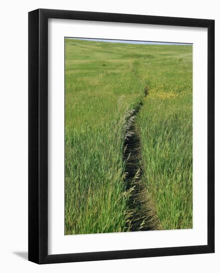 Prairie Footpath on Lewis and Clark's Route Near Mandan, North Dakota-null-Framed Photographic Print