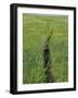 Prairie Footpath on Lewis and Clark's Route Near Mandan, North Dakota-null-Framed Photographic Print