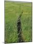 Prairie Footpath on Lewis and Clark's Route Near Mandan, North Dakota-null-Mounted Photographic Print