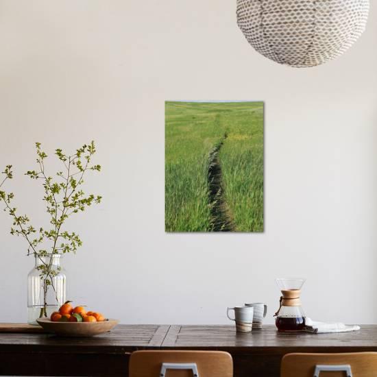 Prairie Footpath on Lewis and Clark's Route Near Mandan, North Dakota'  Photographic Print | AllPosters.com