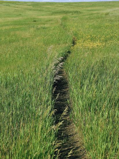 Prairie Footpath on Lewis and Clark's Route Near Mandan, North Dakota'  Photographic Print | AllPosters.com