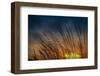 Prairie Grass Sunset Patterns-Steve Gadomski-Framed Photographic Print