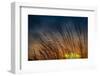 Prairie Grass Sunset Patterns-Steve Gadomski-Framed Photographic Print