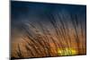 Prairie Grass Sunset Patterns-Steve Gadomski-Mounted Photographic Print