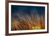 Prairie Grass Sunset Patterns-Steve Gadomski-Framed Photographic Print