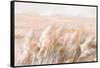 Prairie Grasses-Danhui Nai-Framed Stretched Canvas