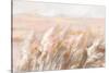 Prairie Grasses-Danhui Nai-Stretched Canvas