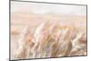 Prairie Grasses-Danhui Nai-Mounted Art Print