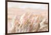 Prairie Grasses-Danhui Nai-Framed Art Print