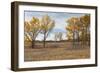 Prairie Grassland, Beatrice, Nebraska, USA-Walter Bibikow-Framed Photographic Print