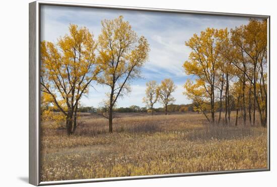 Prairie Grassland, Beatrice, Nebraska, USA-Walter Bibikow-Framed Photographic Print