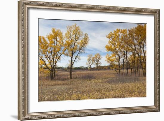 Prairie Grassland, Beatrice, Nebraska, USA-Walter Bibikow-Framed Photographic Print