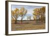 Prairie Grassland, Beatrice, Nebraska, USA-Walter Bibikow-Framed Photographic Print