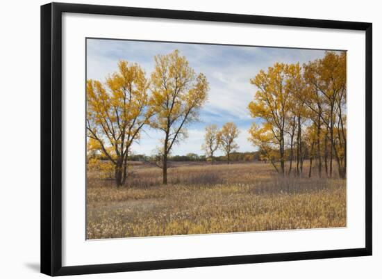 Prairie Grassland, Beatrice, Nebraska, USA-Walter Bibikow-Framed Photographic Print