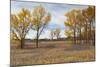 Prairie Grassland, Beatrice, Nebraska, USA-Walter Bibikow-Mounted Photographic Print