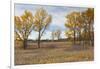 Prairie Grassland, Beatrice, Nebraska, USA-Walter Bibikow-Framed Photographic Print