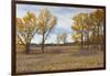 Prairie Grassland, Beatrice, Nebraska, USA-Walter Bibikow-Framed Photographic Print