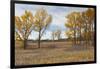 Prairie Grassland, Beatrice, Nebraska, USA-Walter Bibikow-Framed Photographic Print