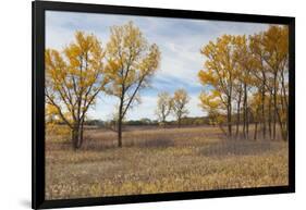 Prairie Grassland, Beatrice, Nebraska, USA-Walter Bibikow-Framed Photographic Print