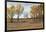 Prairie Grassland, Beatrice, Nebraska, USA-Walter Bibikow-Framed Photographic Print