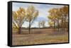 Prairie Grassland, Beatrice, Nebraska, USA-Walter Bibikow-Framed Stretched Canvas