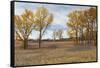 Prairie Grassland, Beatrice, Nebraska, USA-Walter Bibikow-Framed Stretched Canvas