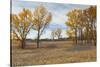 Prairie Grassland, Beatrice, Nebraska, USA-Walter Bibikow-Stretched Canvas