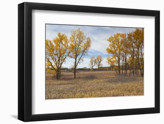 Prairie Grassland, Beatrice, Nebraska, USA-Walter Bibikow-Framed Photographic Print