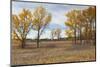 Prairie Grassland, Beatrice, Nebraska, USA-Walter Bibikow-Mounted Photographic Print