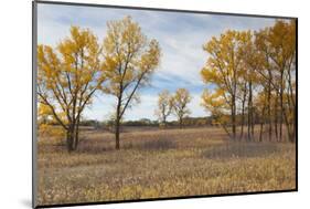 Prairie Grassland, Beatrice, Nebraska, USA-Walter Bibikow-Mounted Photographic Print