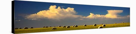 Prairie Haybales-Steve McMahon-Stretched Canvas